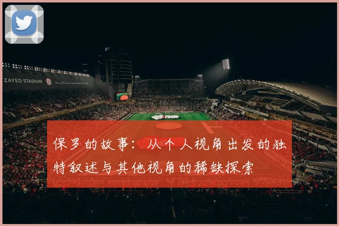 保罗的故事：从个人视角出发的独特叙述与其他视角的稀缺探索