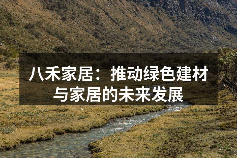 八禾家居：推动绿色建材与家居的未来发展